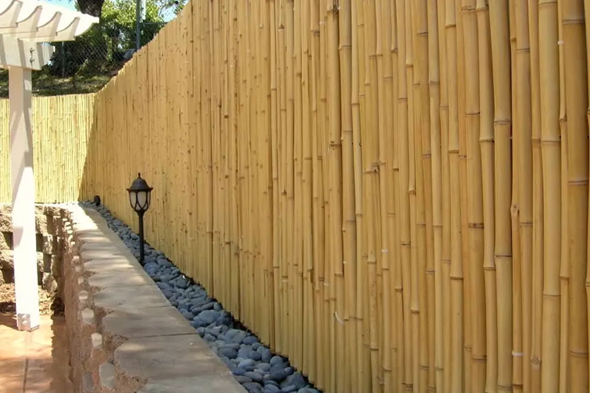 Bamboo Fencing