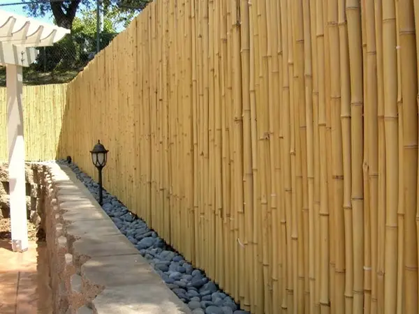Bamboo Fencing